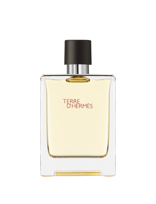 Hermes Terre d'Hermès Eau de Toilette product photo