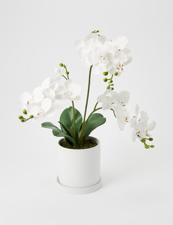 M&Co Faux White Orchid, Large product photo
