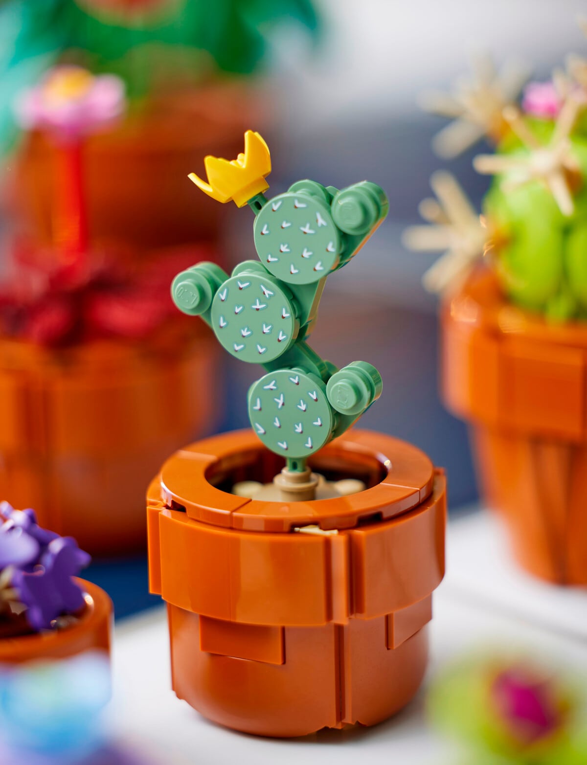 LEGO Creator Expert Icons Tiny Plants, 10329 - Lego & Construction