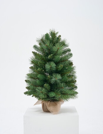 Christmas Shop Pre-lit Faux Pine Christmas Tree, 2ft, Green product photo