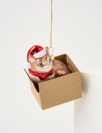 Christmas Shop Tidings & Treats, Cat in a Box product photo