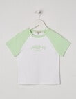 Switch Laguna Short Sleeve Crop Rib Raglan Tee, Lime product photo