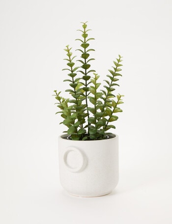 Tilly Home Faux Succulent Small product photo