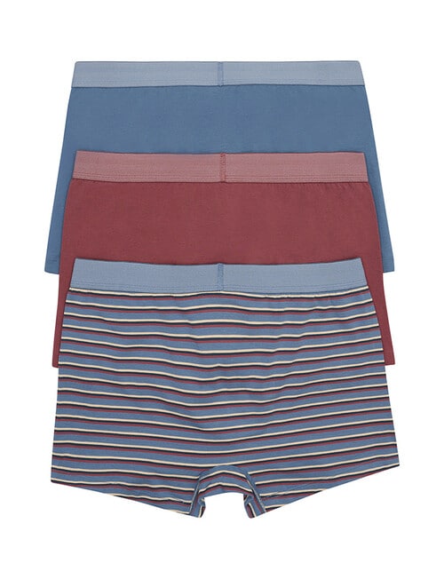 Jockey Comfort Stripe Trunk, 3-Pack, Clay Red, Dark Mist & Resort Stripe product photo View 02 L