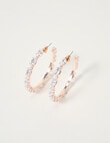 Harlow Radiant Sparkle Large Hoops, Rose Gold Tone product photo