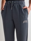 Champion Rochester MCMXIX Pant, Stealth product photo View 04 S