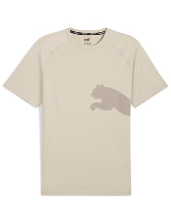 Puma Train All Day Big Cat Tee, Brown product photo